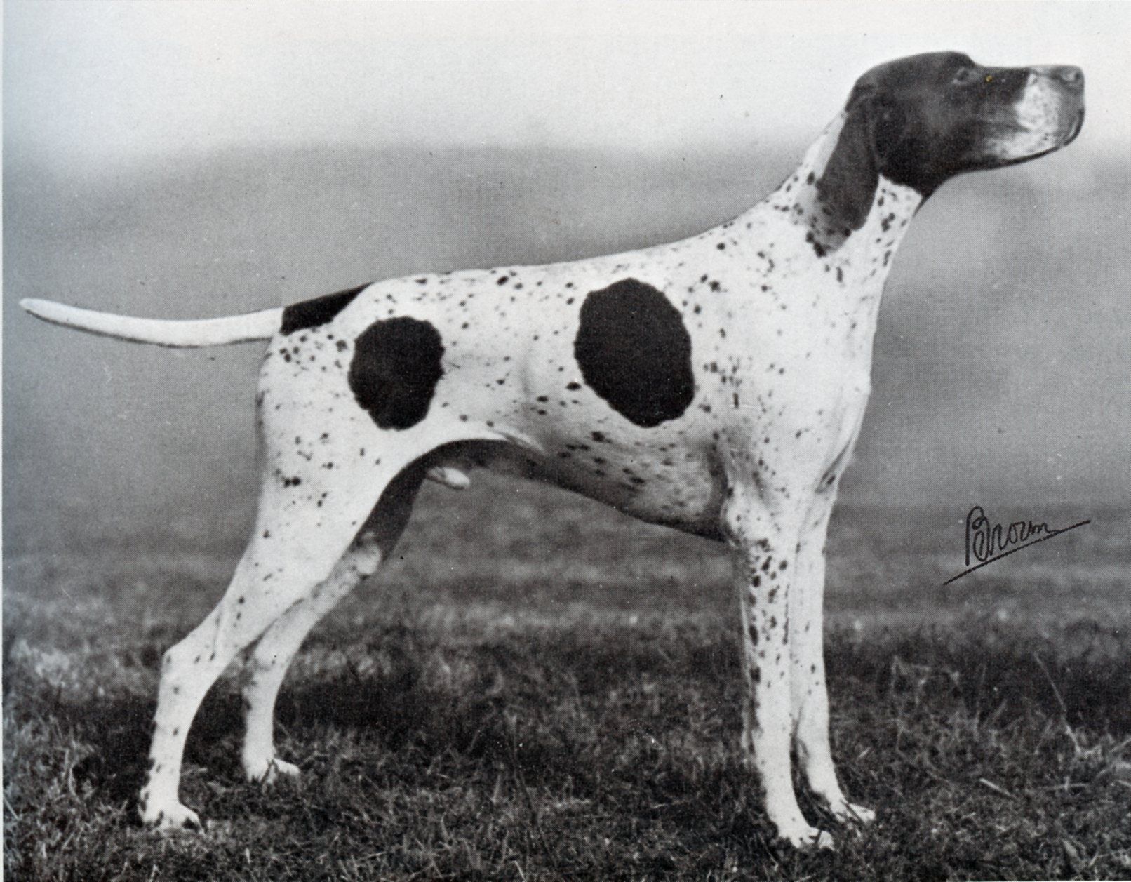 Old Photos on Facebook